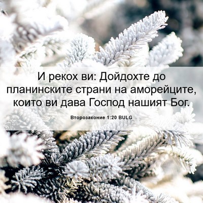 Picture 06 - Второзаконие 1:20 BULG - И рекох ви: Дойдохте до - Bible Verse Picture