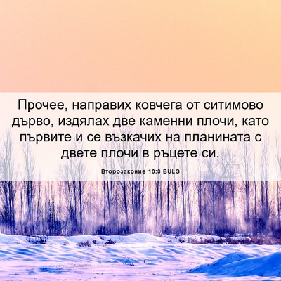Picture 06 - Второзаконие 10:3 BULG - Прочее, направих ковчега - Bible Verse Picture
