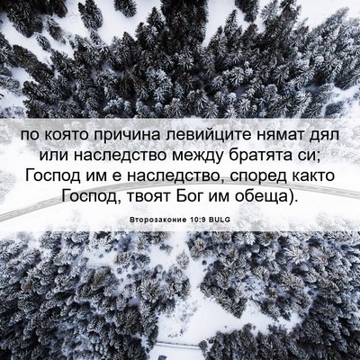 Picture 06 - Второзаконие 10:9 BULG - по която причина левийците - Bible Verse Picture