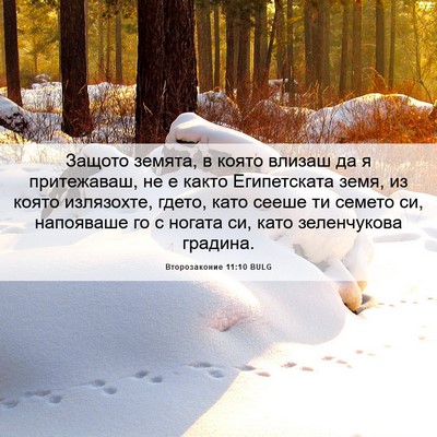 Picture 06 - Второзаконие 11:10 BULG - Защото земята, в която - Bible Verse Picture