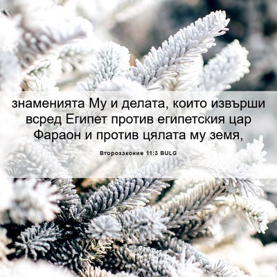 Picture 06 - Второзаконие 11:3 BULG - знаменията Му и делата, - Bible Verse Picture