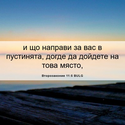 Picture 06 - Второзаконие 11:5 BULG - и що направи за вас в - Bible Verse Picture