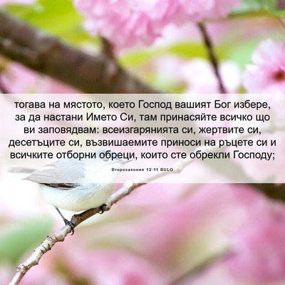 Picture 06 - Второзаконие 12:11 BULG - тогава на мястото, което - Bible Verse Picture
