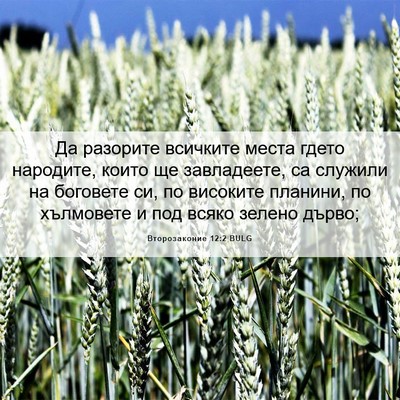 Picture 06 - Второзаконие 12:2 BULG - Да разорите всичките места - Bible Verse Picture
