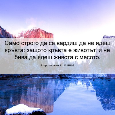 Picture 06 - Второзаконие 12:23 BULG - Само строго да се вардиш да - Bible Verse Picture