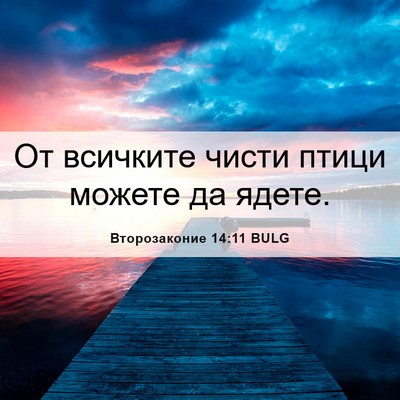 Picture 06 - Второзаконие 14:11 BULG - От всичките чисти птици - Bible Verse Picture
