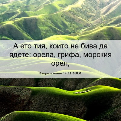 Picture 06 - Второзаконие 14:12 BULG - А ето тия, които не бива да - Bible Verse Picture
