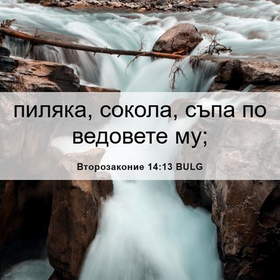 Picture 06 - Второзаконие 14:13 BULG - пиляка, сокола, съпа по - Bible Verse Picture