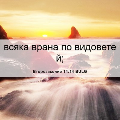 Picture 06 - Второзаконие 14:14 BULG - всяка врана по видовете - Bible Verse Picture