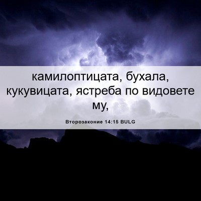 Picture 06 - Второзаконие 14:15 BULG - камилоптицата, бухала, - Bible Verse Picture