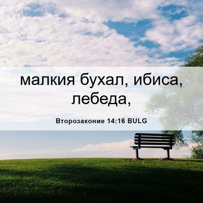 Picture 06 - Второзаконие 14:16 BULG - малкия бухал, ибиса, - Bible Verse Picture
