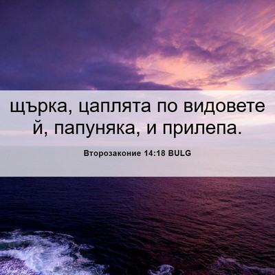 Picture 06 - Второзаконие 14:18 BULG - щърка, цаплята по видовете - Bible Verse Picture
