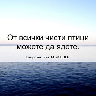 Picture 06 - Второзаконие 14:20 BULG - От всички чисти птици - Bible Verse Picture
