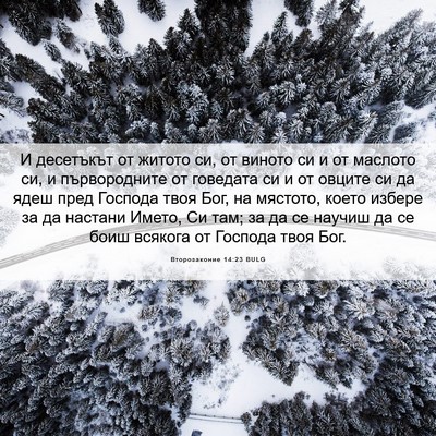 Picture 06 - Второзаконие 14:23 BULG - И десетъкът от житото си, - Bible Verse Picture