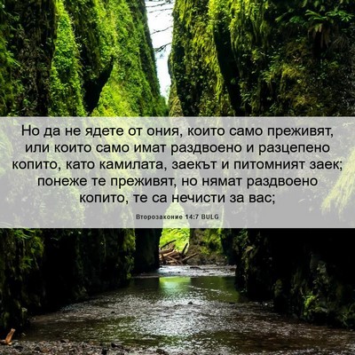 Picture 06 - Второзаконие 14:7 BULG - Но да не ядете от ония, - Bible Verse Picture