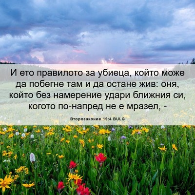 Picture 06 - Второзаконие 19:4 BULG - И ето правилото за убиеца, - Bible Verse Picture