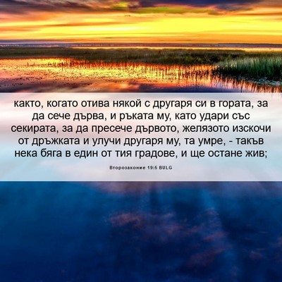 Picture 06 - Второзаконие 19:5 BULG - както, когато отива някой с - Bible Verse Picture
