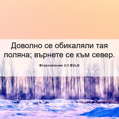 Picture 06 - Второзаконие 2:3 BULG - Доволно се обикаляли тая - Bible Verse Picture