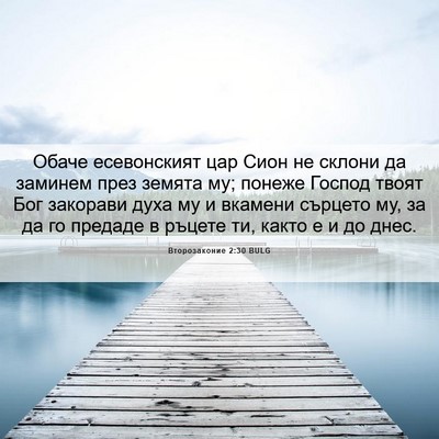 Picture 06 - Второзаконие 2:30 BULG - Обаче есевонският цар Сион - Bible Verse Picture