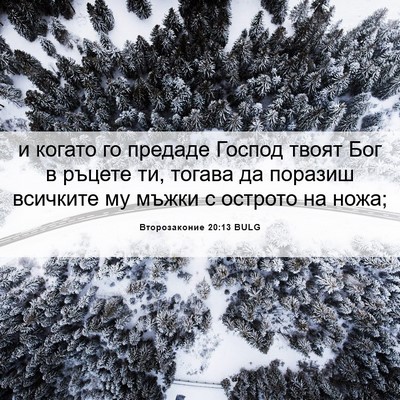 Picture 06 - Второзаконие 20:13 BULG - и когато го предаде Господ - Bible Verse Picture