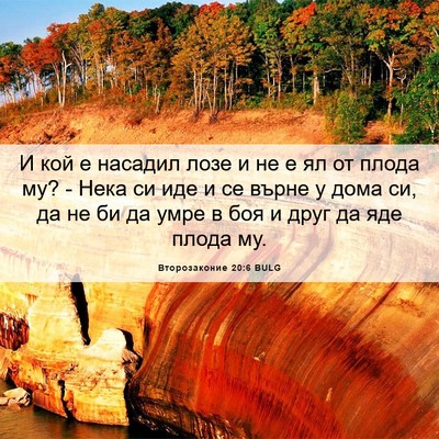 Picture 06 - Второзаконие 20:6 BULG - И кой е насадил лозе и не е - Bible Verse Picture