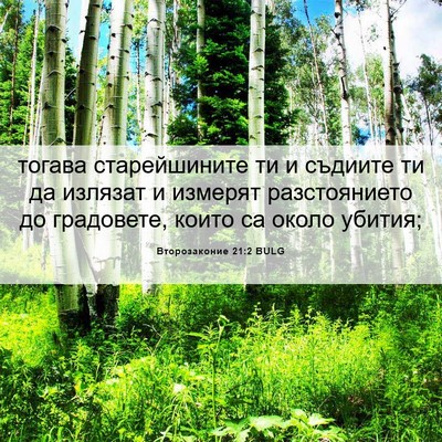 Picture 06 - Второзаконие 21:2 BULG - тогава старейшините ти и - Bible Verse Picture