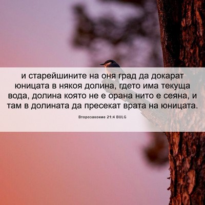 Picture 06 - Второзаконие 21:4 BULG - и старейшините на оня град - Bible Verse Picture