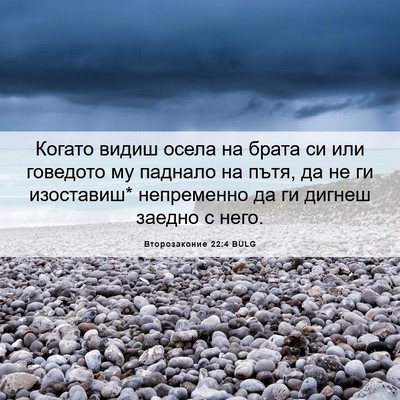 Picture 06 - Второзаконие 22:4 BULG - Когато видиш осела на - Bible Verse Picture