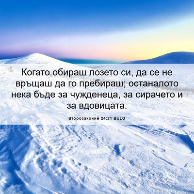 Picture 06 - Второзаконие 24:21 BULG - Когато обираш лозето си, да - Bible Verse Picture