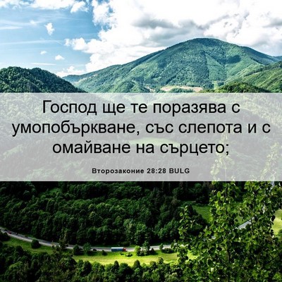Picture 06 - Второзаконие 28:28 BULG - Господ ще те поразява с - Bible Verse Picture
