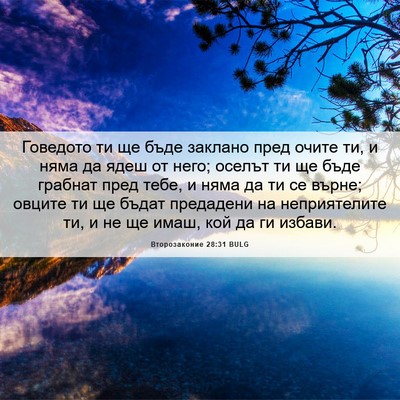 Picture 06 - Второзаконие 28:31 BULG - Говедото ти ще бъде - Bible Verse Picture