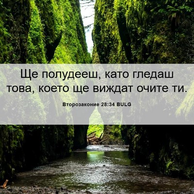 Picture 06 - Второзаконие 28:34 BULG - Ще полудееш, като гледаш - Bible Verse Picture