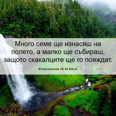 Picture 06 - Второзаконие 28:38 BULG - Много семе ще изнасяш на - Bible Verse Picture