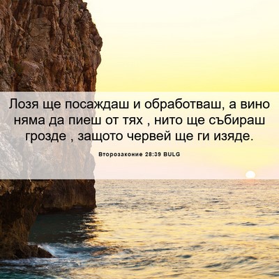 Picture 06 - Второзаконие 28:39 BULG - Лозя ще посаждаш и - Bible Verse Picture