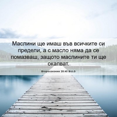 Picture 06 - Второзаконие 28:40 BULG - Маслини ще имаш във - Bible Verse Picture