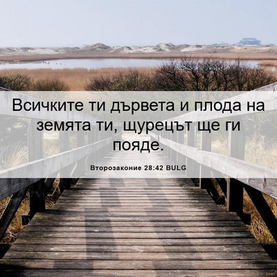 Picture 06 - Второзаконие 28:42 BULG - Всичките ти дървета и - Bible Verse Picture