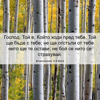 Picture 06 - Второзаконие 31:8 BULG - Господ, Той е, Който ходи - Bible Verse Picture