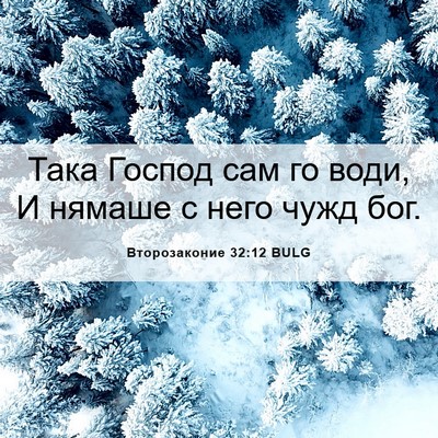 Picture 06 - Второзаконие 32:12 BULG - Така Господ сам го води, И - Bible Verse Picture