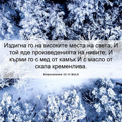 Picture 06 - Второзаконие 32:13 BULG - Издигна го на високите - Bible Verse Picture