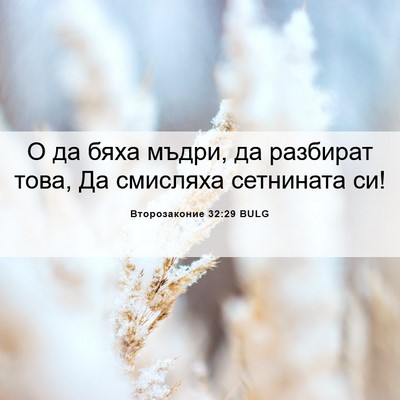 Picture 06 - Второзаконие 32:29 BULG - О да бяха мъдри, да - Bible Verse Picture