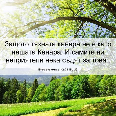 Picture 06 - Второзаконие 32:31 BULG - Защото тяхната канара не е - Bible Verse Picture