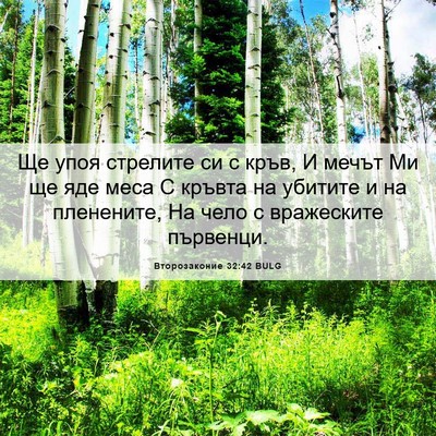 Picture 06 - Второзаконие 32:42 BULG - Ще упоя стрелите си с кръв, - Bible Verse Picture