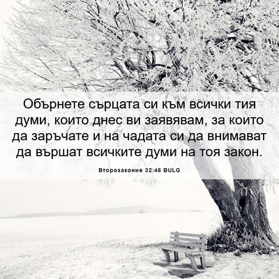 Picture 06 - Второзаконие 32:46 BULG - Обърнете сърцата си към - Bible Verse Picture