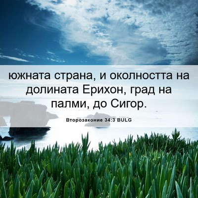 Picture 06 - Второзаконие 34:3 BULG - южната страна, и - Bible Verse Picture
