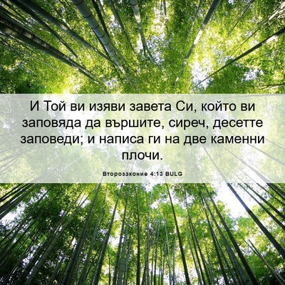 Picture 06 - Второзаконие 4:13 BULG - И Той ви изяви завета Си, - Bible Verse Picture