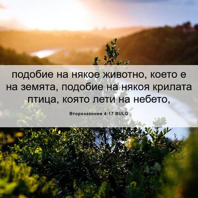Picture 06 - Второзаконие 4:17 BULG - подобие на някое животно, - Bible Verse Picture
