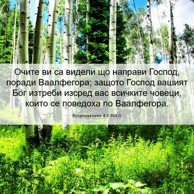 Picture 06 - Второзаконие 4:3 BULG - Очите ви са видели що - Bible Verse Picture