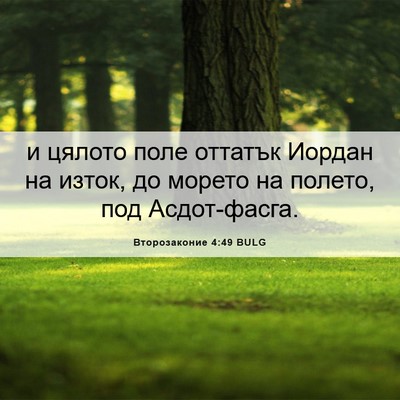 Picture 06 - Второзаконие 4:49 BULG - и цялото поле оттатък - Bible Verse Picture