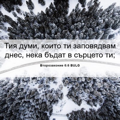 Picture 06 - Второзаконие 6:6 BULG - Тия думи, които ти - Bible Verse Picture