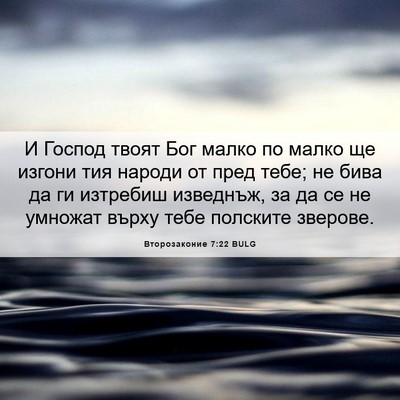 Picture 06 - Второзаконие 7:22 BULG - И Господ твоят Бог малко по - Bible Verse Picture
